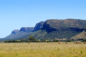 Sandrivier range, south of Vaalwater in the Waterberg, Limpopo