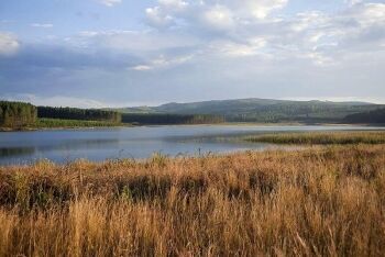Doorndraai Dam Nature Reserve, Limpopo